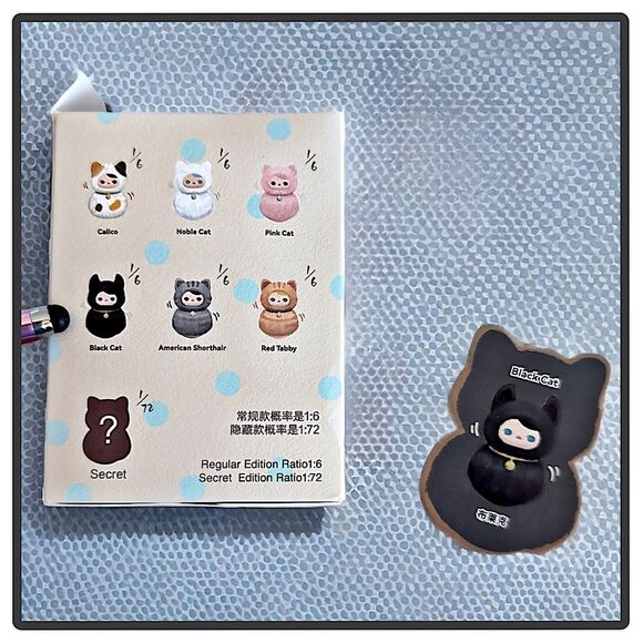 Pop Mart Pucky Roly-Poly Kitty - Black Cat - Picture 8 of 16